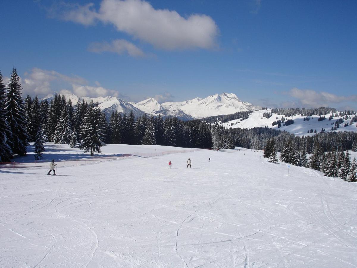 Chalet Etoile Saint-Jean-dʼAulps Kültér fotó